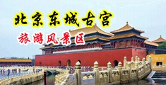 操逼大小毛片中国北京-东城古宫旅游风景区
